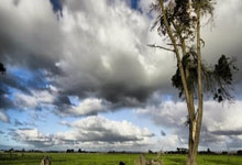 [法甲]卡佩勒复刻经典进球.