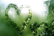 九游娱乐官网:今年国际体坛这些人物备受关注环球时报.